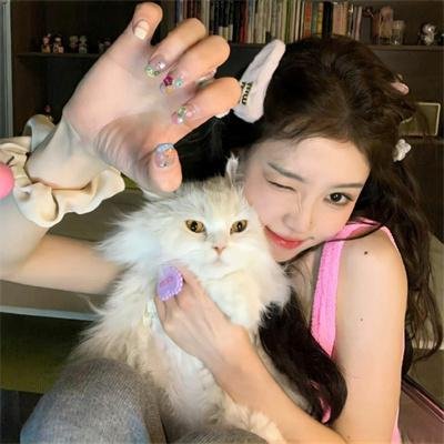 黑猫扎飞 封面